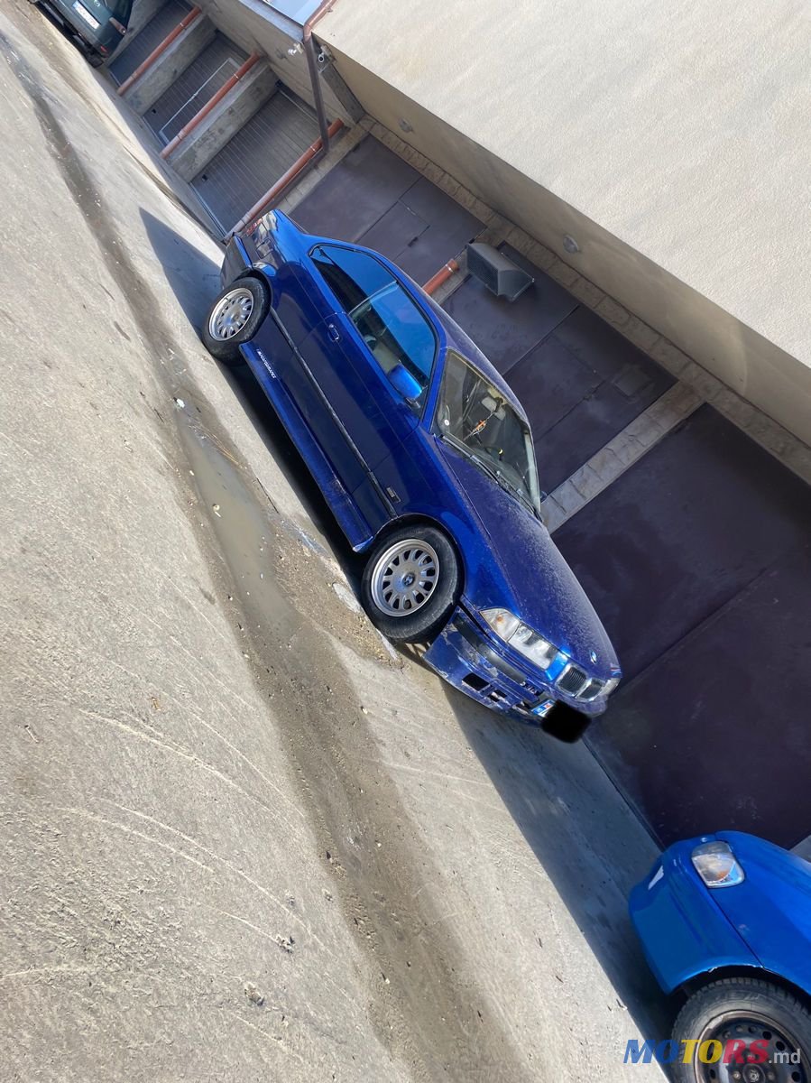 1997' BMW 3 Series photo #4