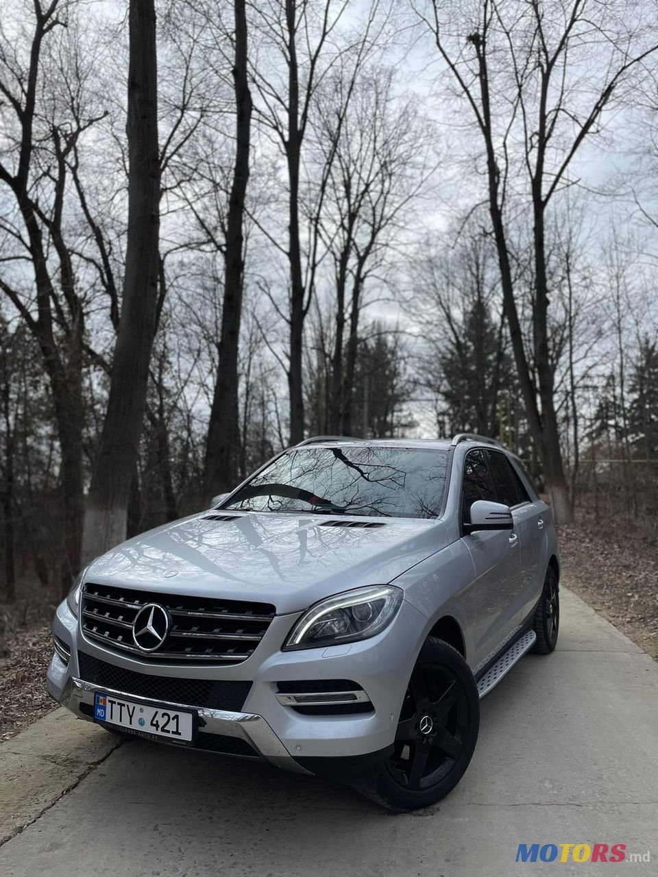 2013' Mercedes-Benz M Класс photo #1