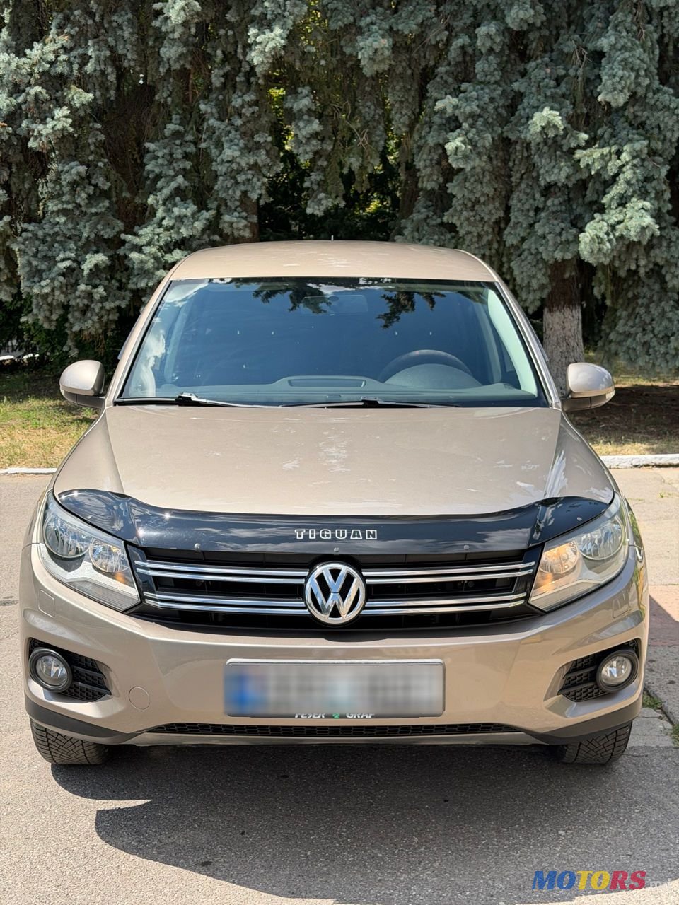 2011' Volkswagen Tiguan photo #1
