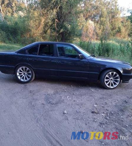 1994' BMW 5 photo #1