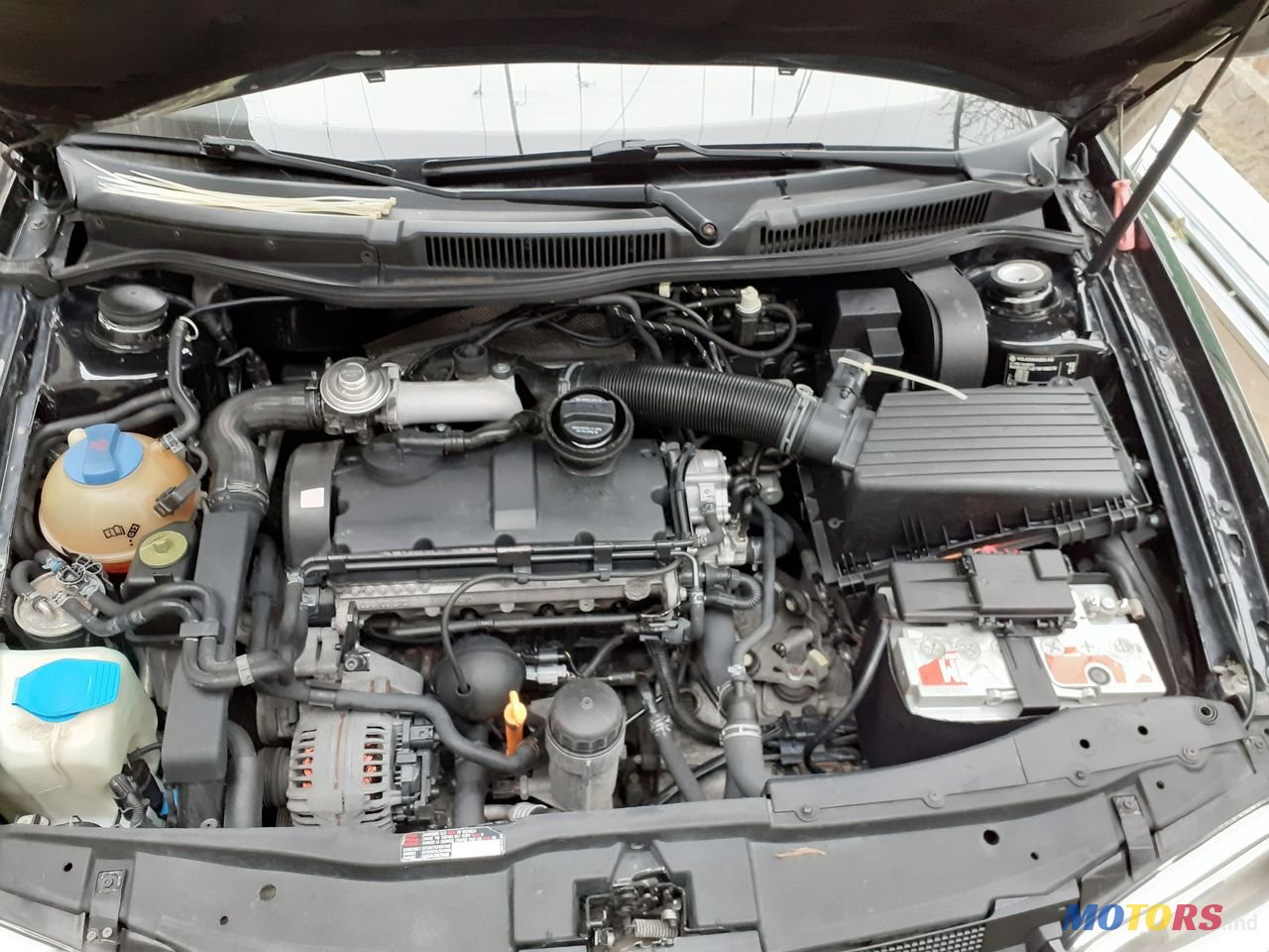 2000' Volkswagen Golf photo #6