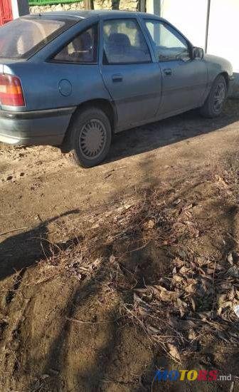 1991' Opel Vectra photo #1