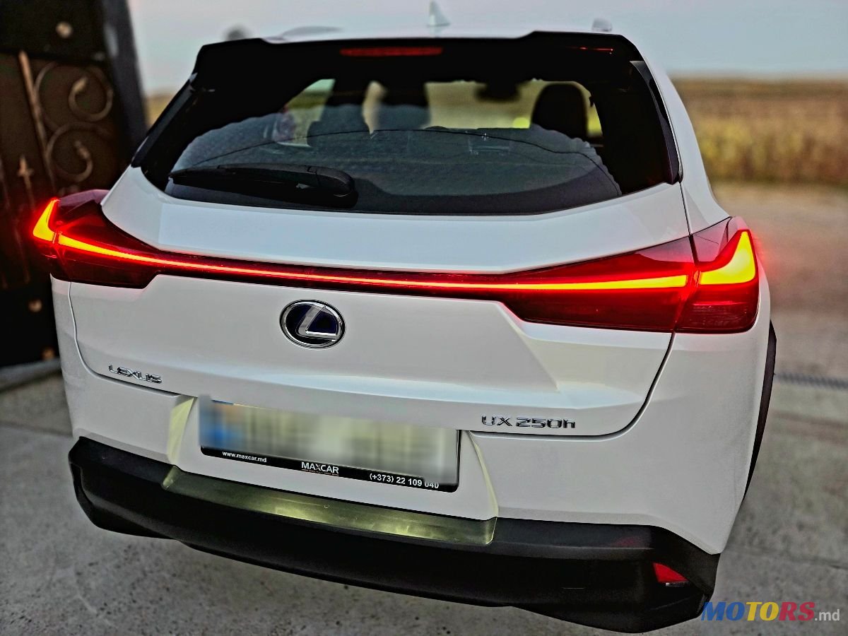 2020' Lexus UX photo #4