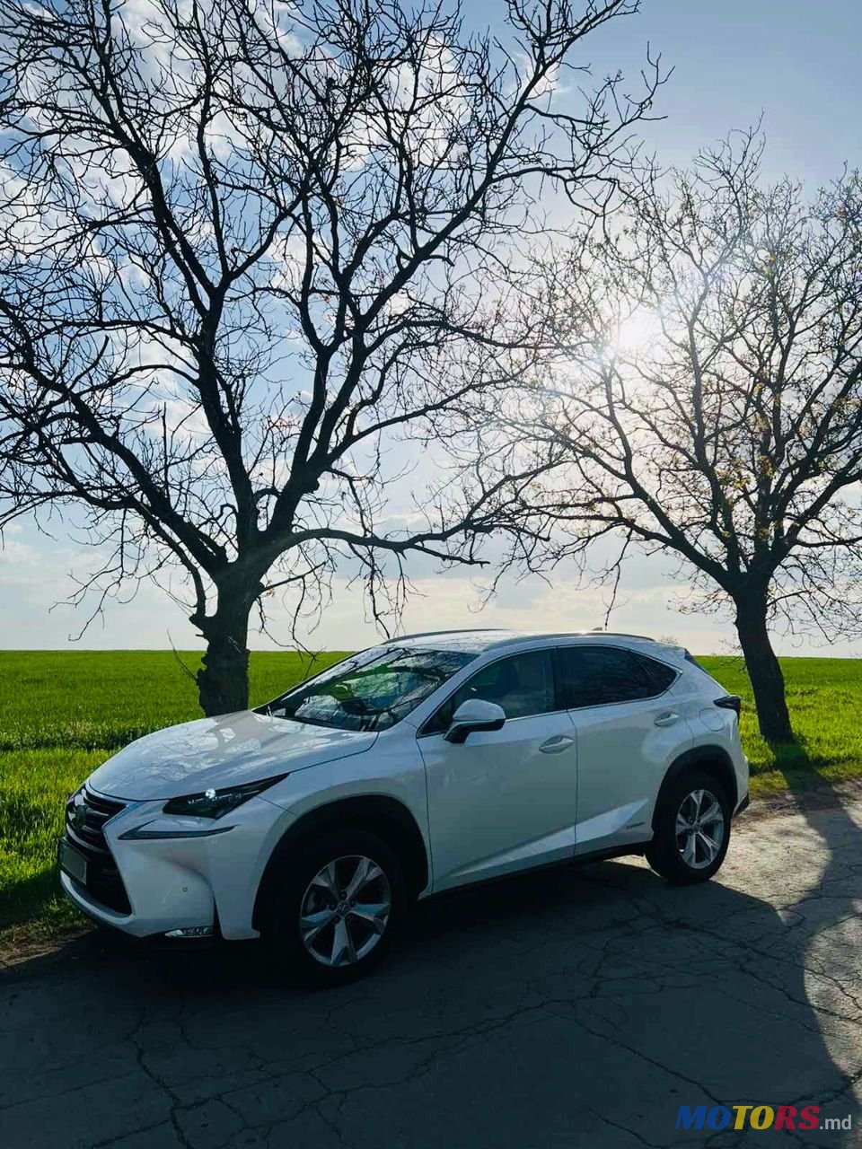 2015' Lexus Nx Series photo #3