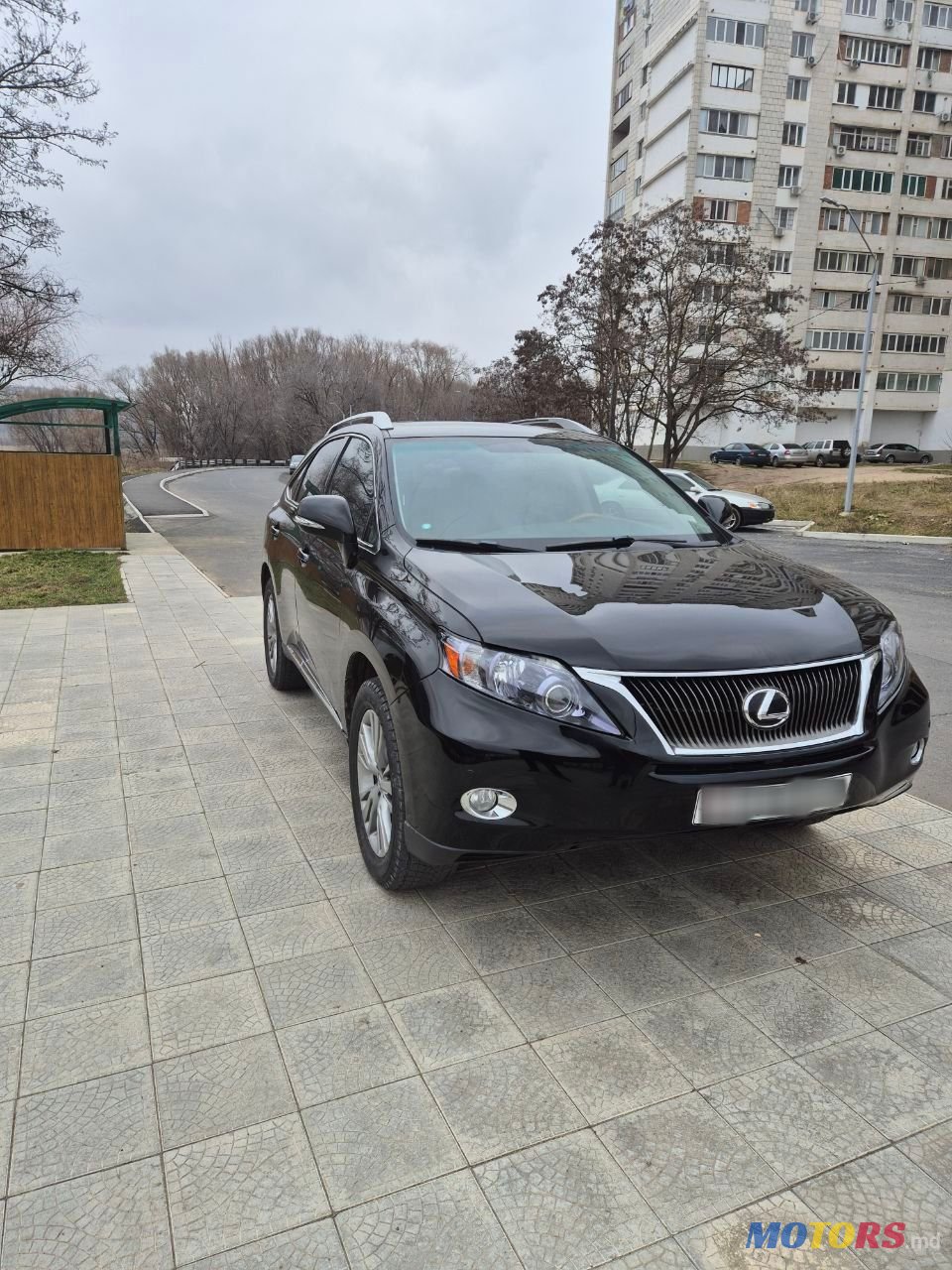 2010' Lexus Rx Series photo #1