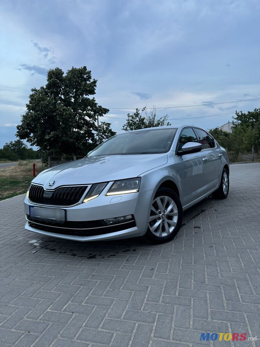 2017' Skoda Octavia photo #1
