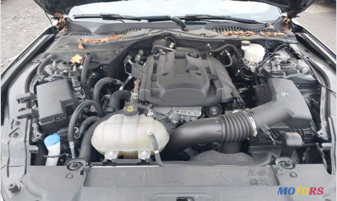 2020' Ford Mustang ECOBOOST FASTBACK photo #7