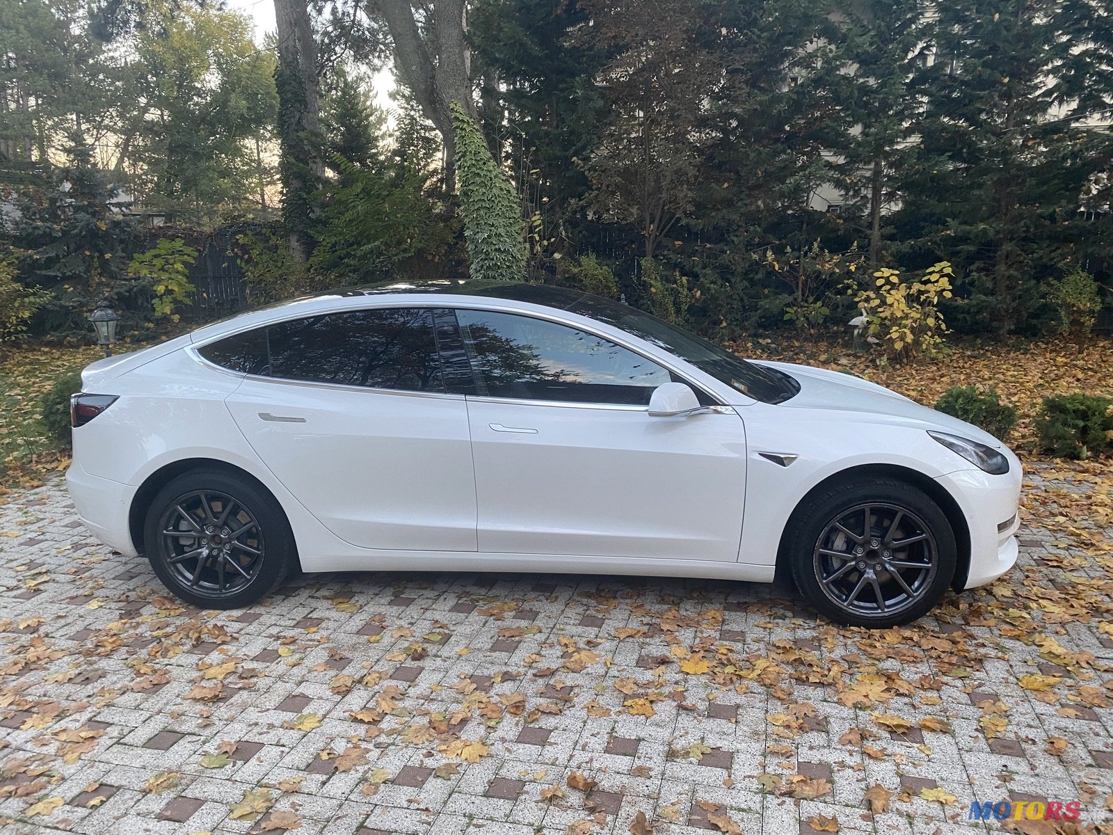 2019 #39 Tesla Model 3 for sale Chişinău Moldova