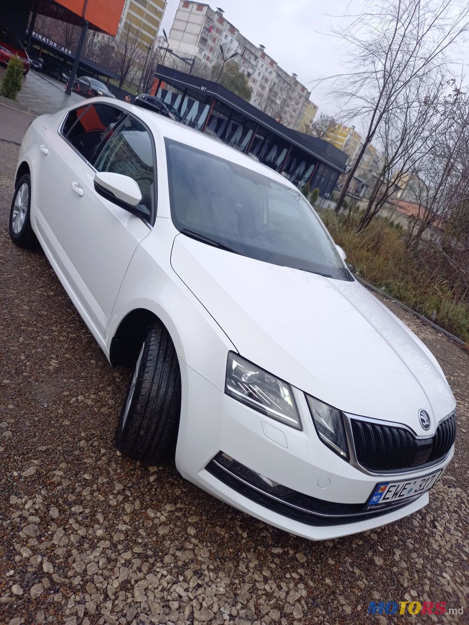 2017' Skoda Octavia photo #4