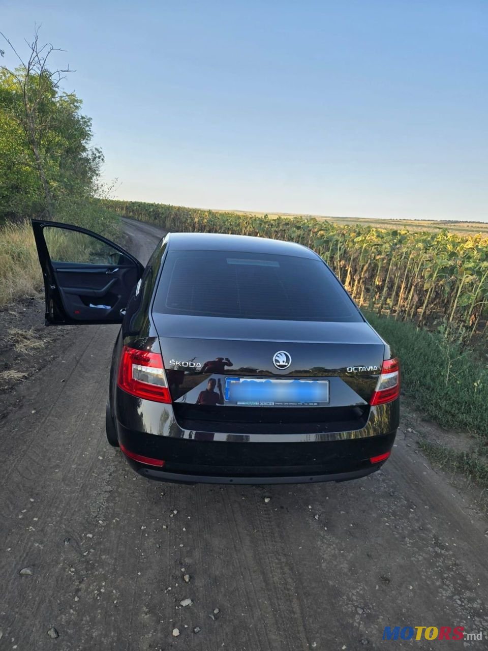 2017' Skoda Octavia photo #3