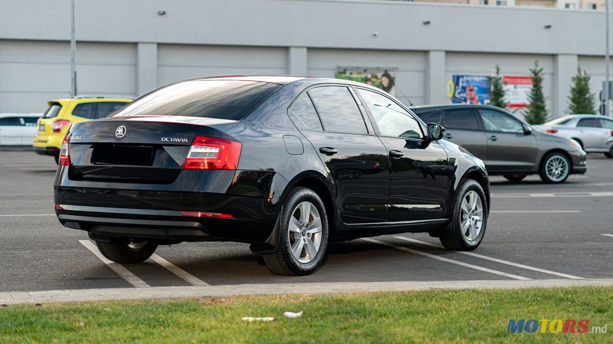 2018' Skoda Octavia photo #5