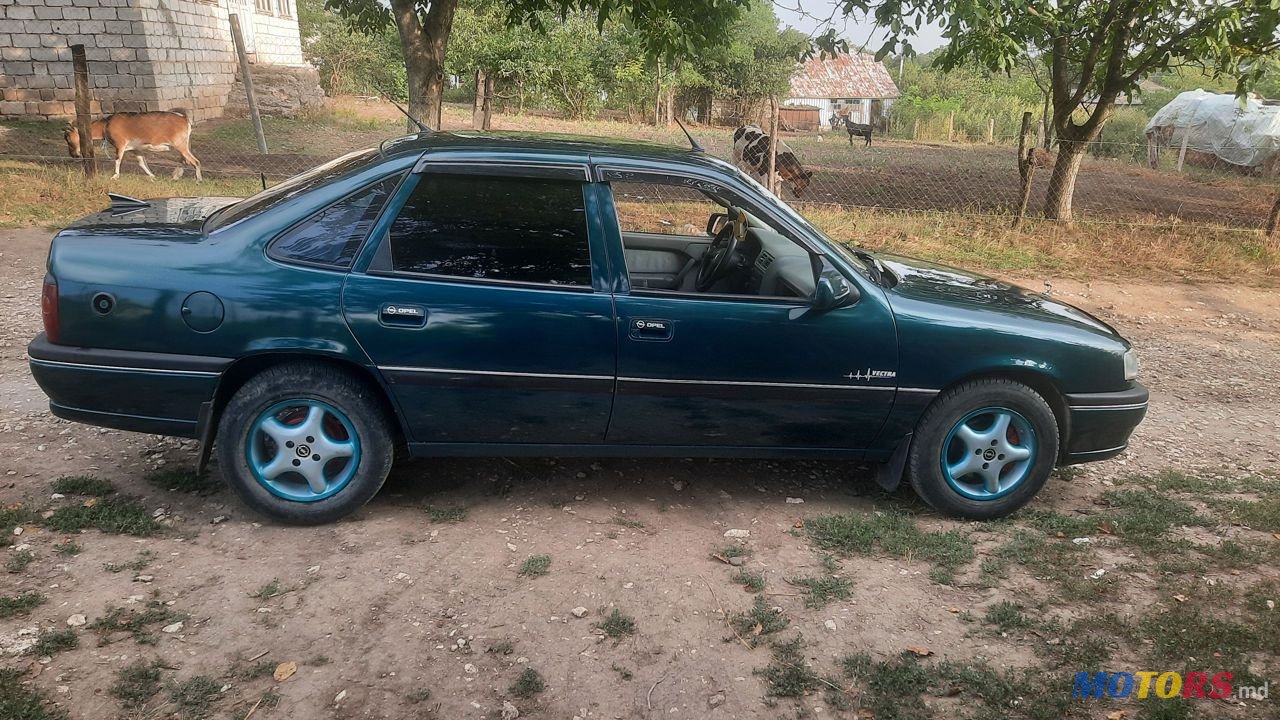 1995' Opel Vectra photo #4