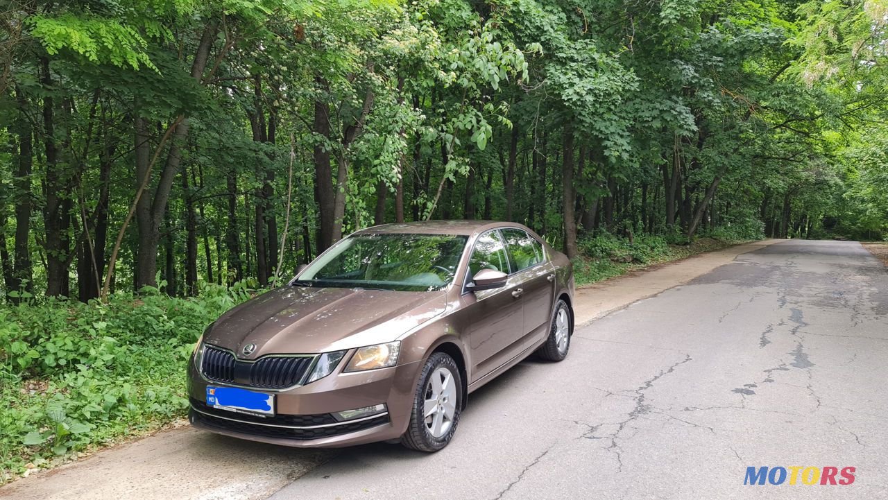 2018' Skoda Octavia photo #2