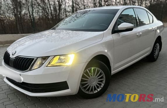 2019' Skoda Octavia photo #3