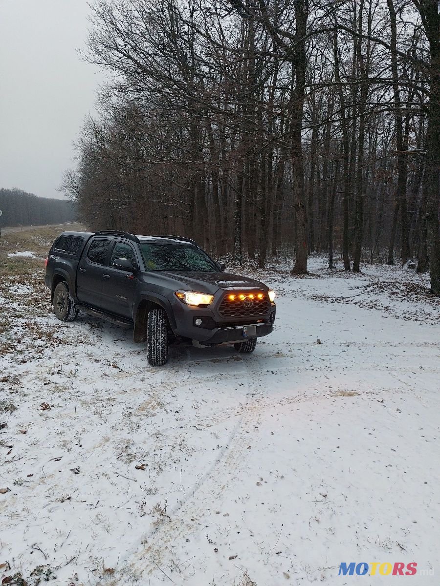 2020' Toyota Tacoma photo #1