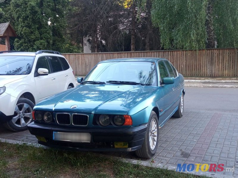 1995' BMW 5 Series photo #1