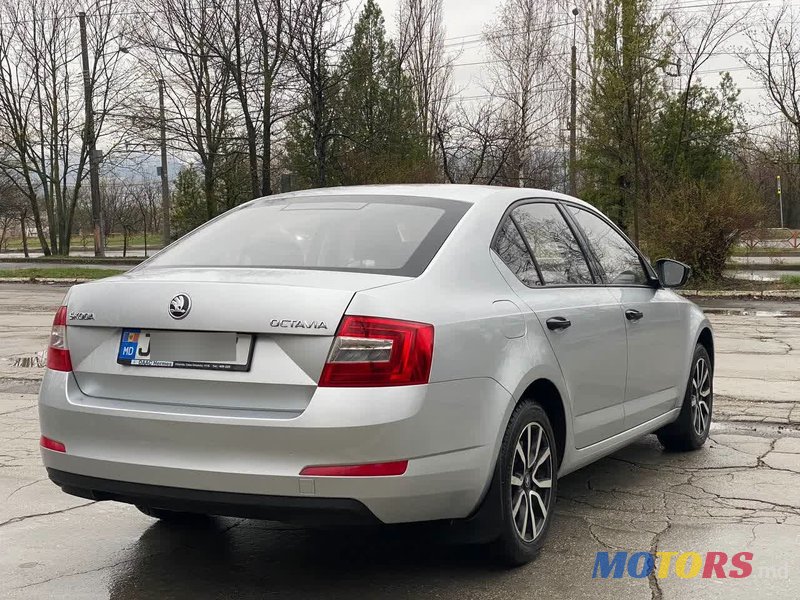 2014' Skoda Octavia photo #4