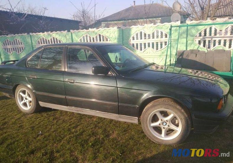 1995' BMW 5 photo #1