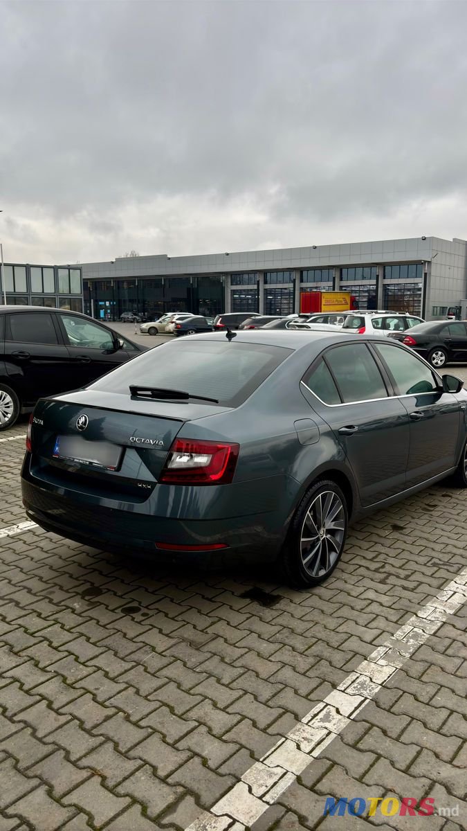 2017' Skoda Octavia photo #3