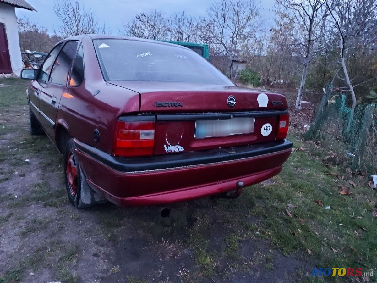 1994' Opel Vectra photo #3