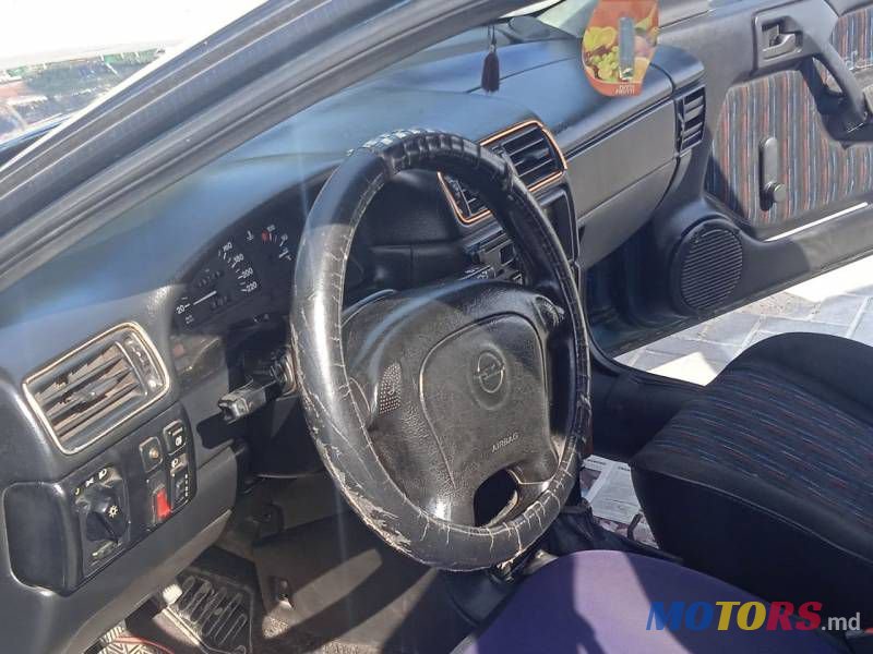 1995' Opel Vectra photo #2