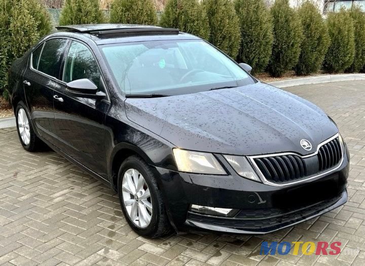 2019' Skoda Octavia photo #1