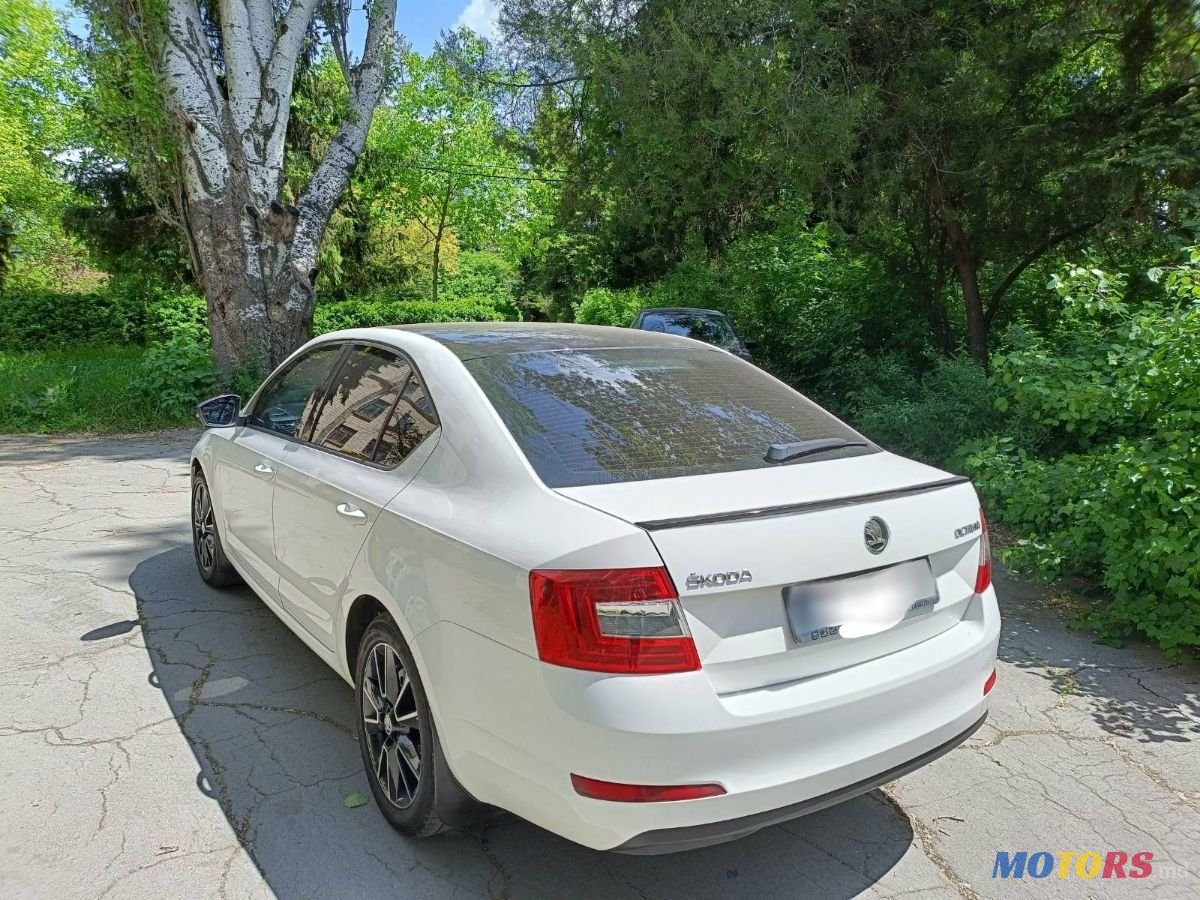 2014' Skoda Octavia photo #2