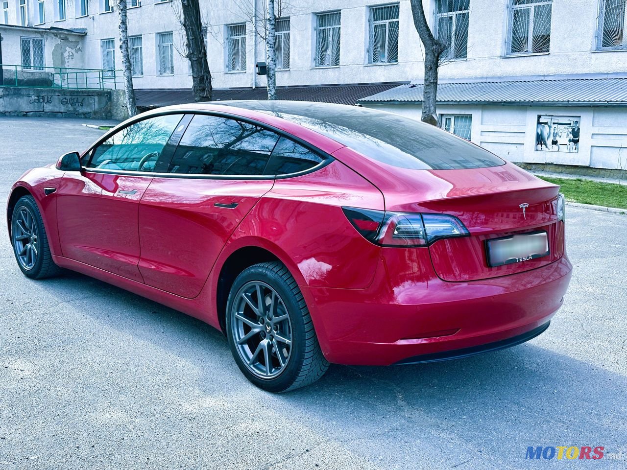 2021' Tesla Model 3 photo #6