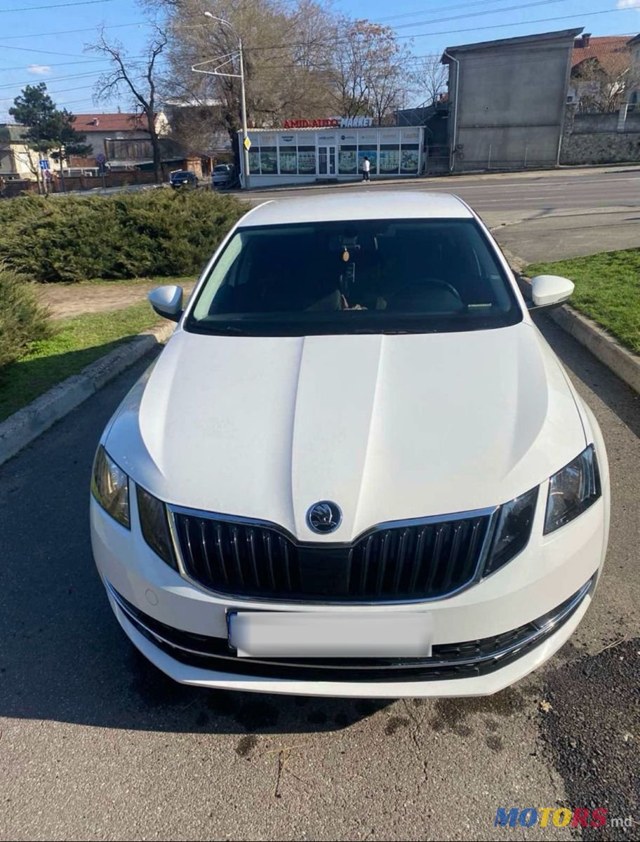 2018' Skoda Octavia photo #3