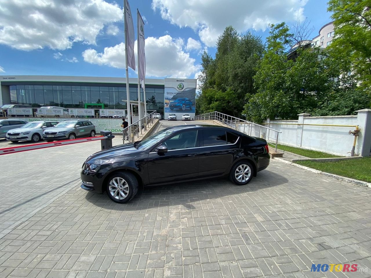 2017' Skoda Octavia photo #6