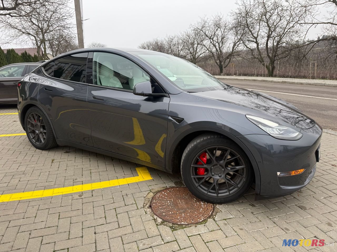 2020' Tesla Model Y photo #2