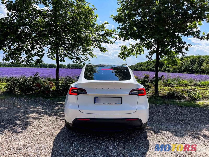 2021' Tesla Model Y photo #1