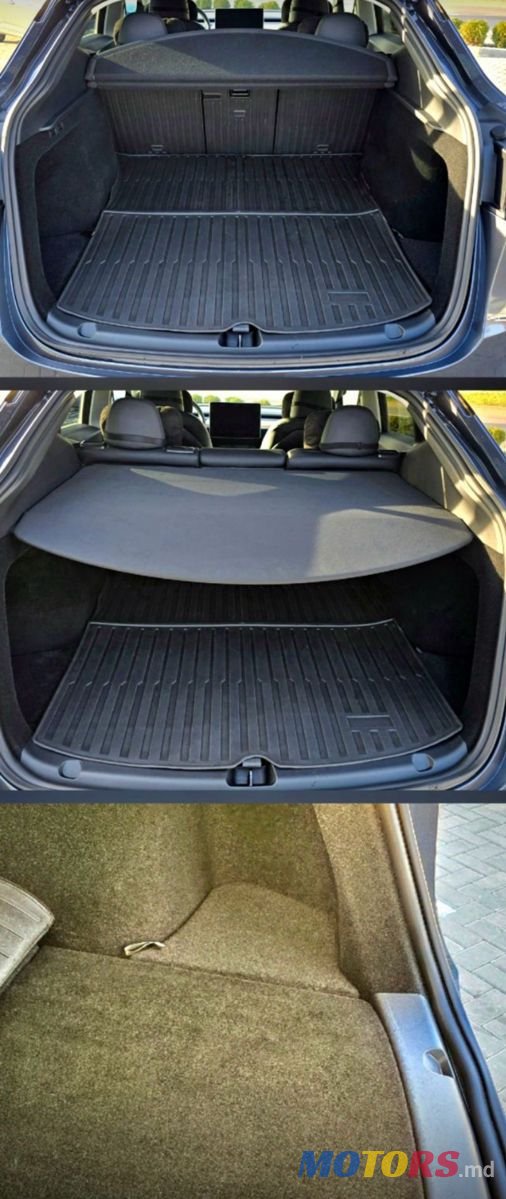 2023' Tesla Model Y photo #4