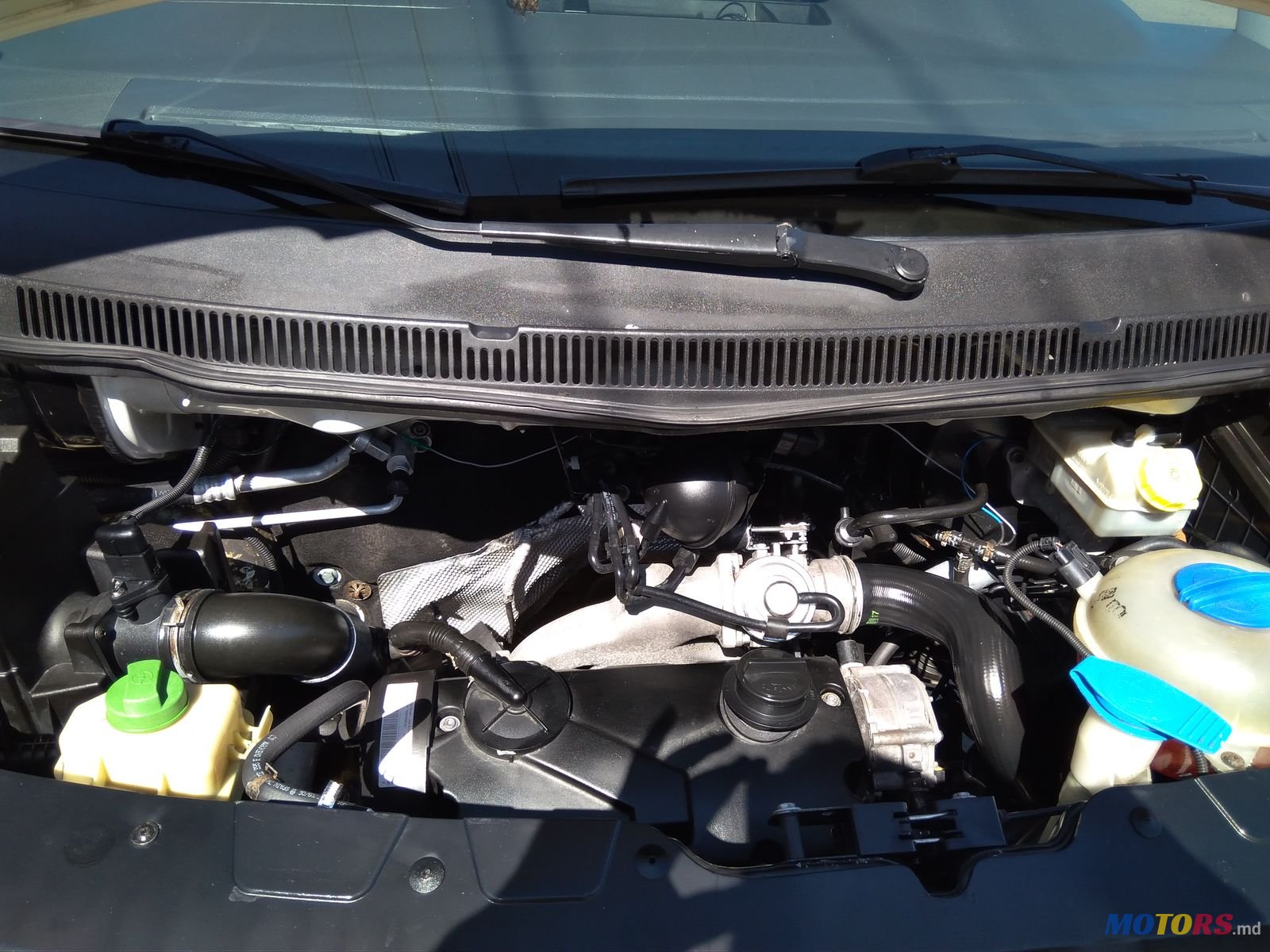 2007' Volkswagen photo #6