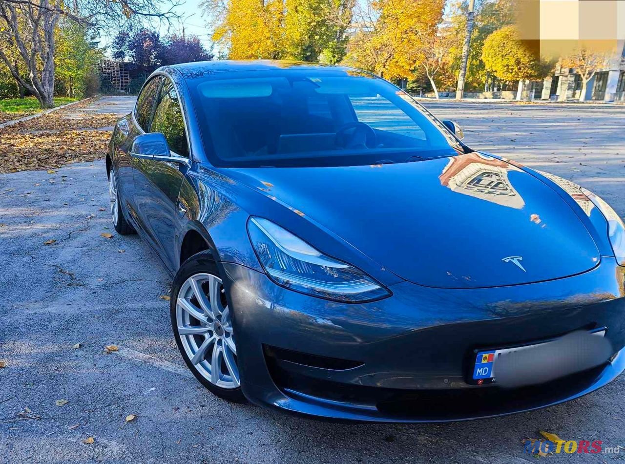 2020' Tesla Model 3 photo #1