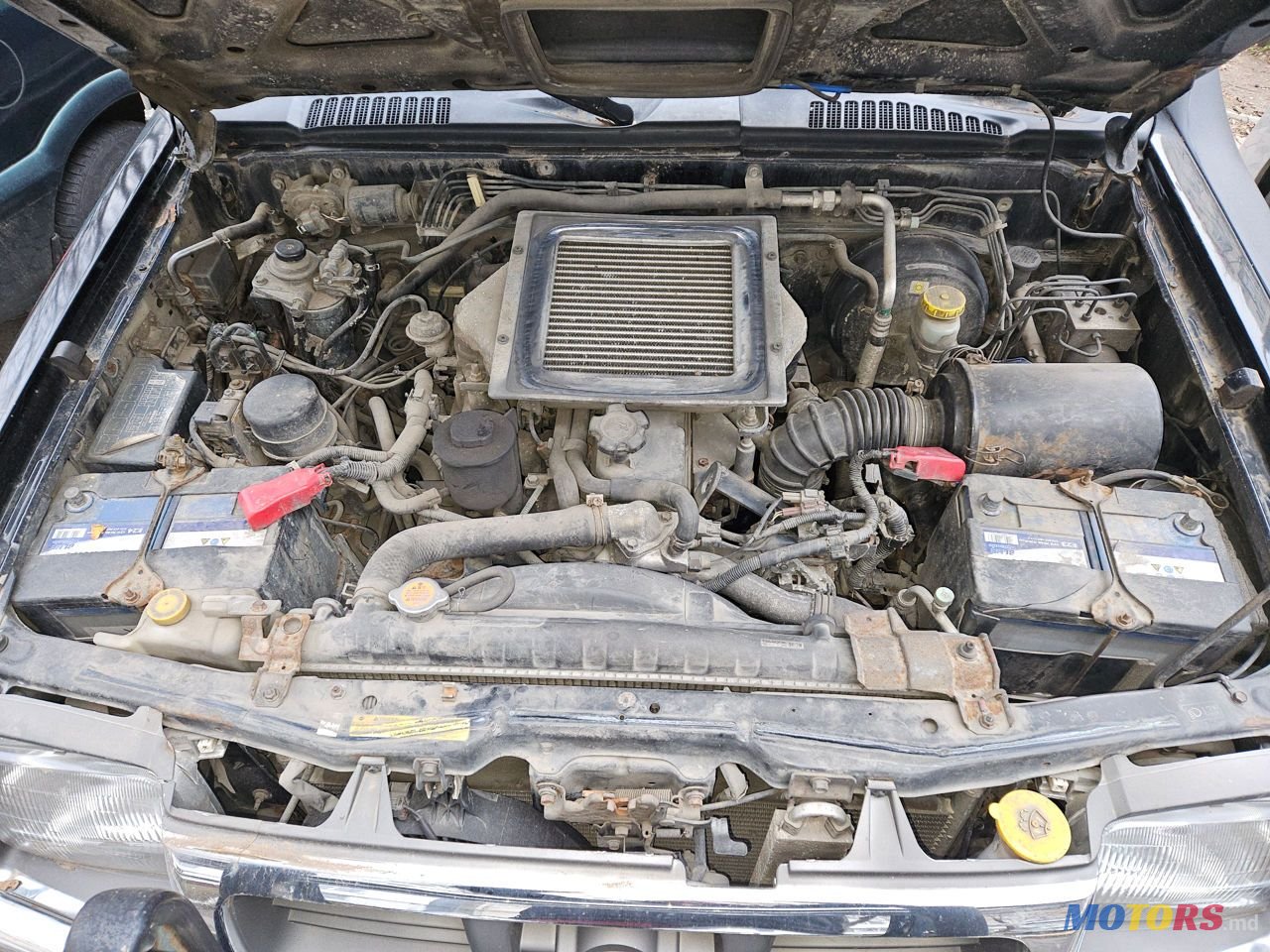 2001' Nissan Navara photo #2