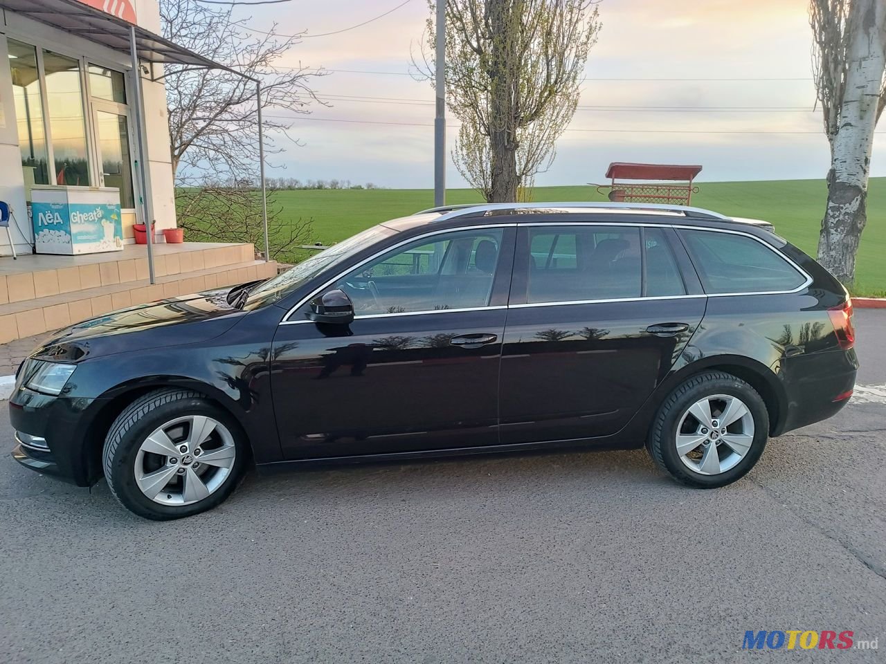 2019' Skoda Octavia photo #3