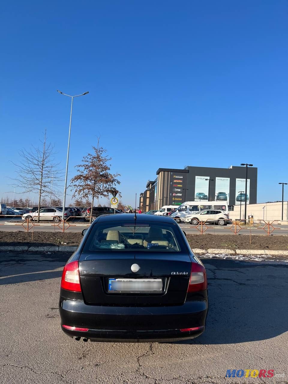 2009' Skoda Octavia photo #4