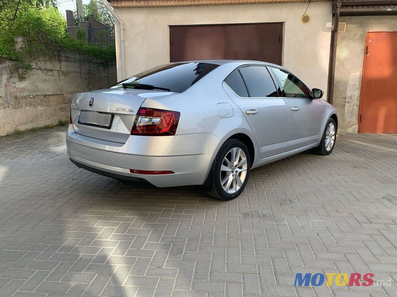 2017' Skoda Octavia photo #6