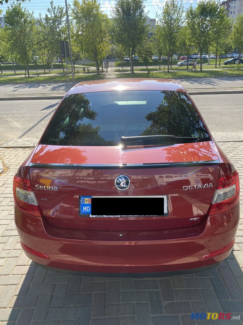 2014' Skoda Octavia photo #3