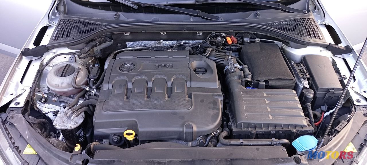 2013' Skoda Octavia photo #2