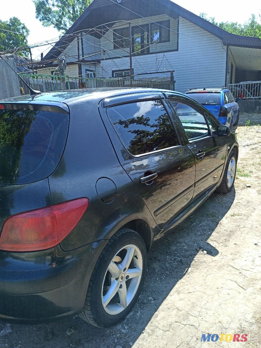 2004' Peugeot 307 photo #2