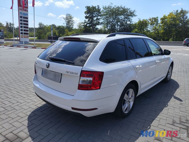 2017' Skoda Octavia photo #4