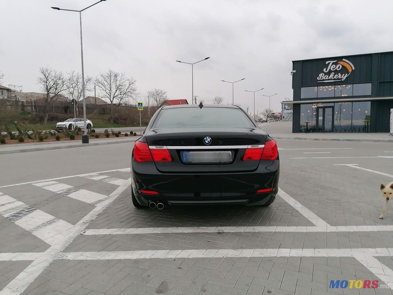 2010' BMW 7 Series photo #4