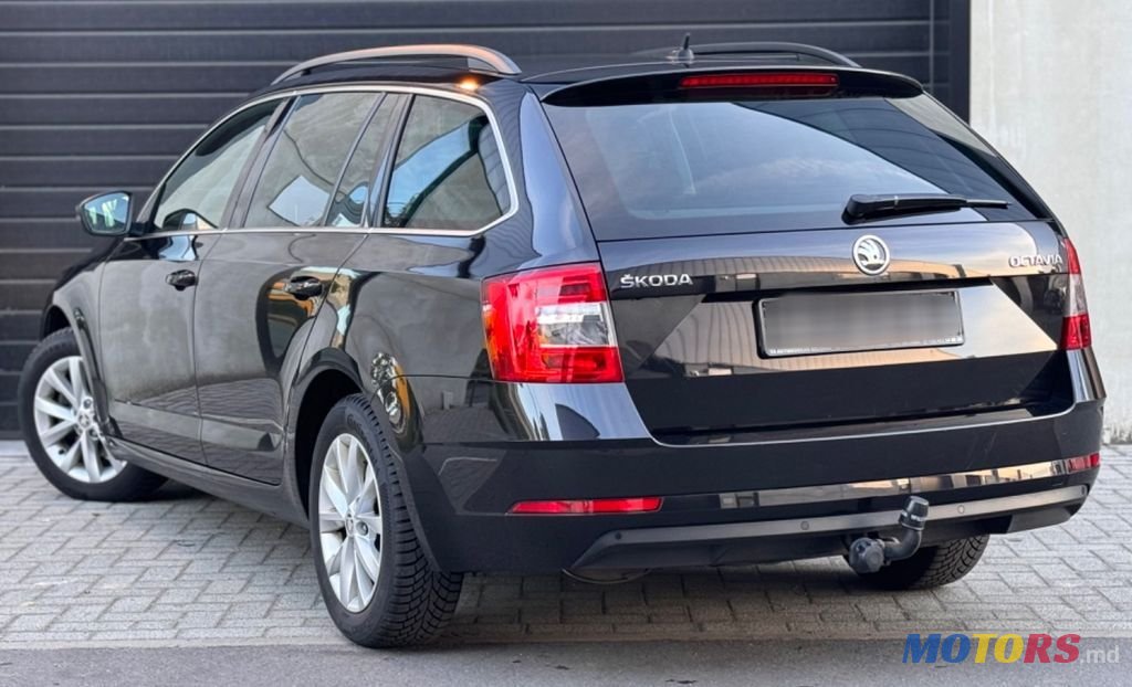 2019' Skoda Octavia photo #5