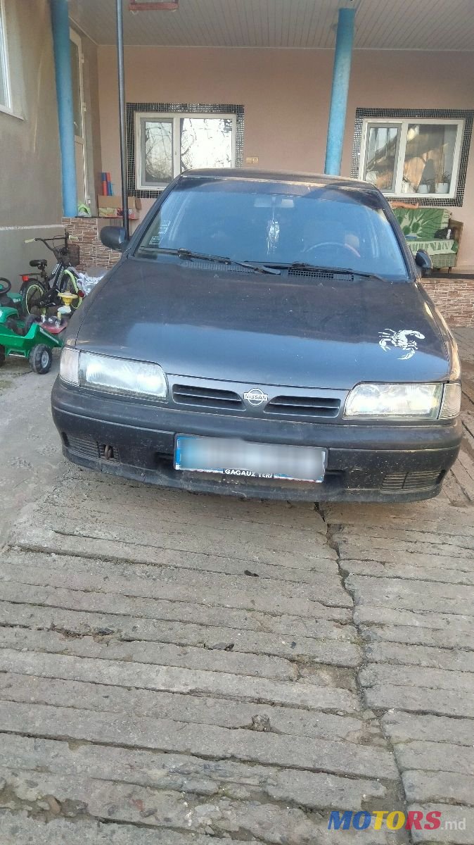 1992' Nissan Primera photo #3