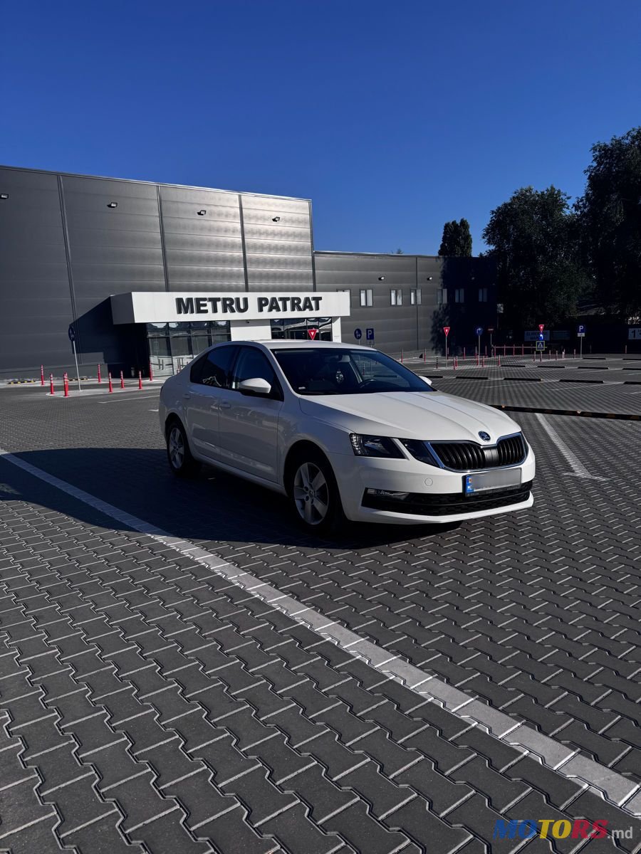 2017' Skoda Octavia photo #2