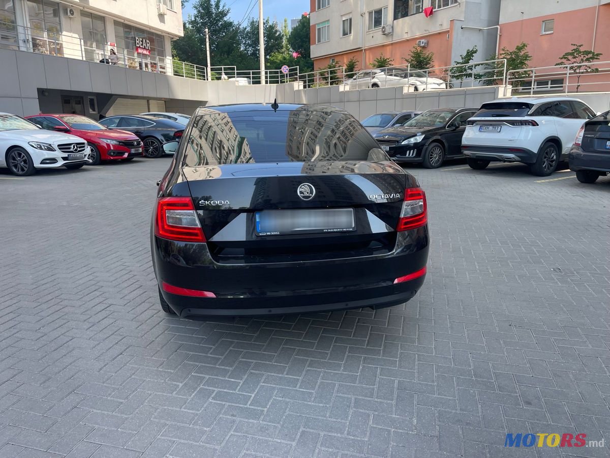 2013' Skoda Octavia photo #5