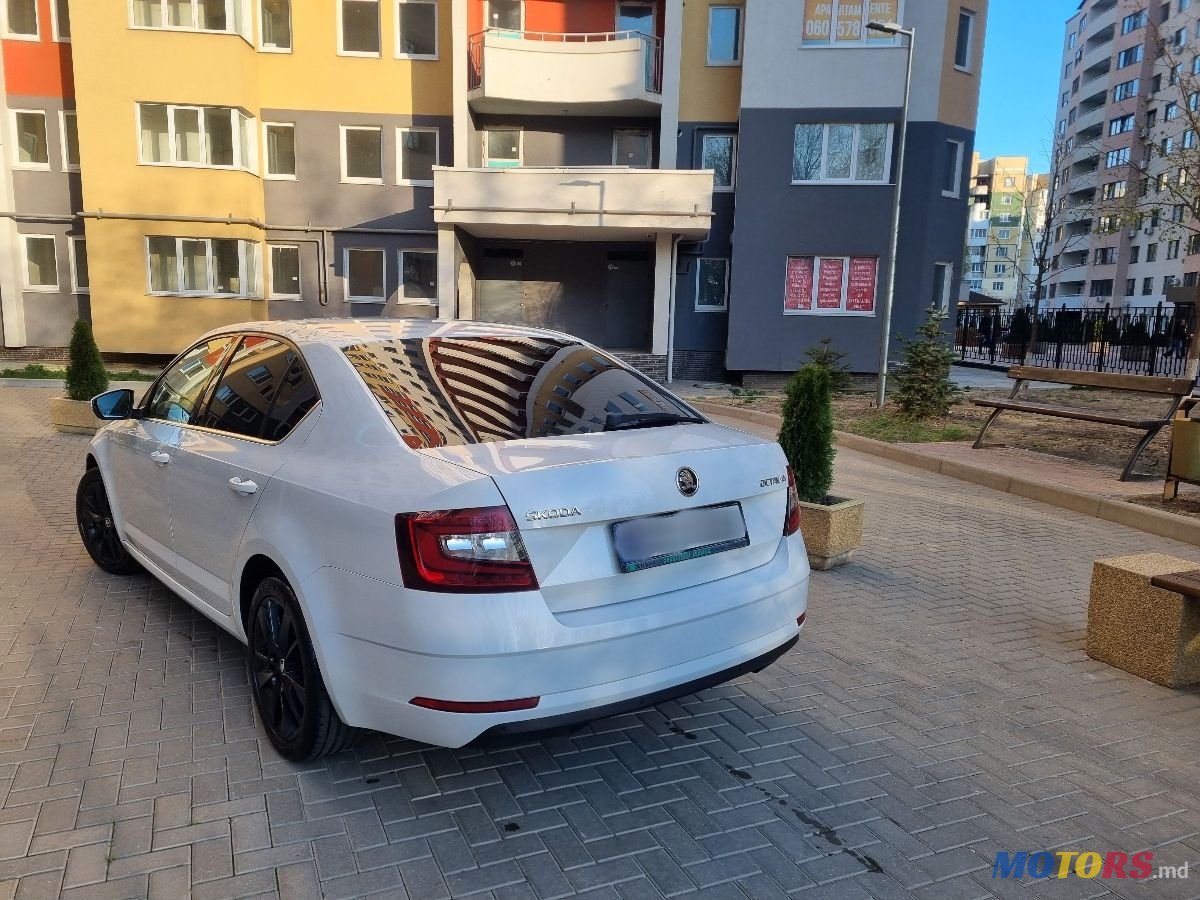 2018' Skoda Octavia photo #4