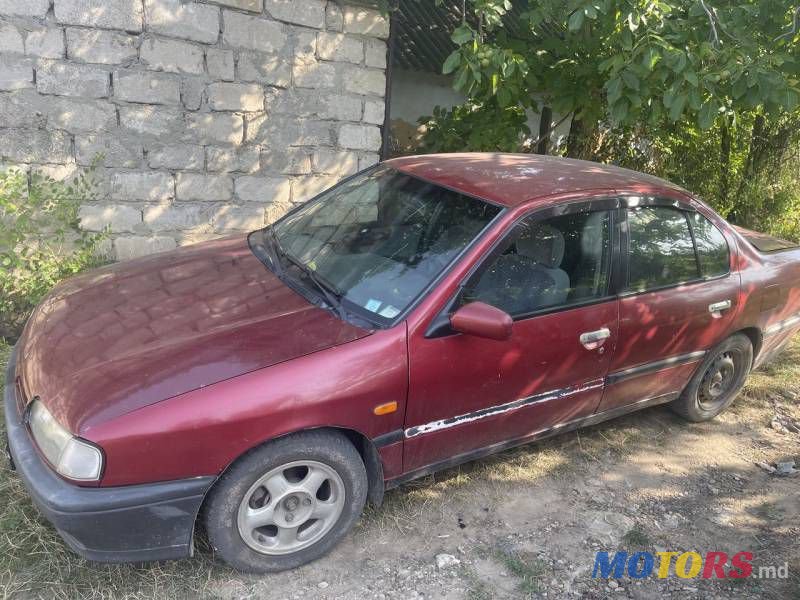 1996' Nissan Primera photo #6